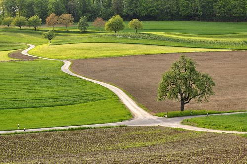 © Kurt Michel/pixelio.de