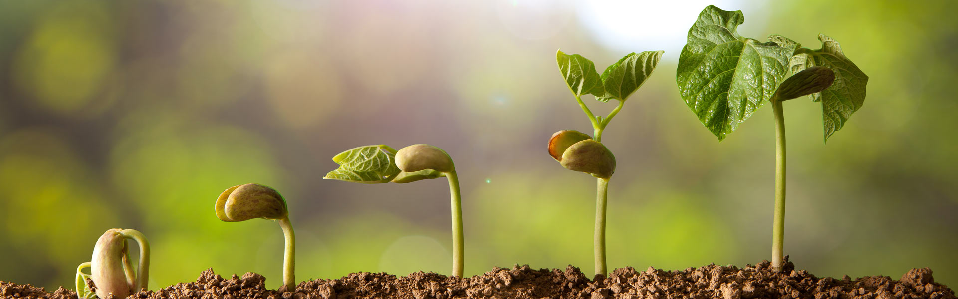 RaiffeisenLaborservice mit 30jähriger Erfahrung für Gartenfreunde