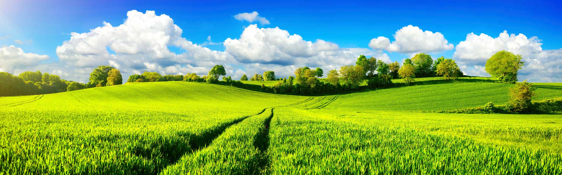 Bodenuntersuchungen für die Landwirtschaft - Raiffeisen-Laborservice